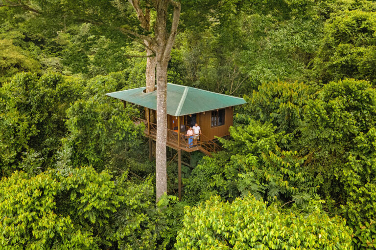 maquenque-eco-lodge-tree-house-exterior