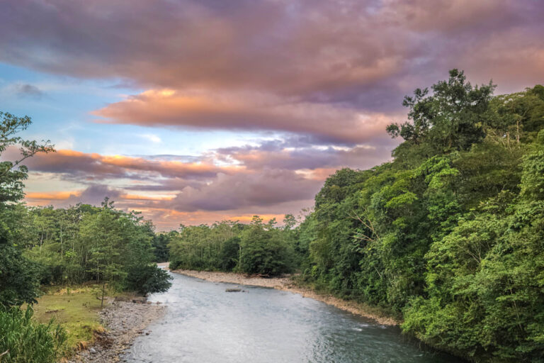 selva-verde-lodge-sunset-from-suspension-bridge