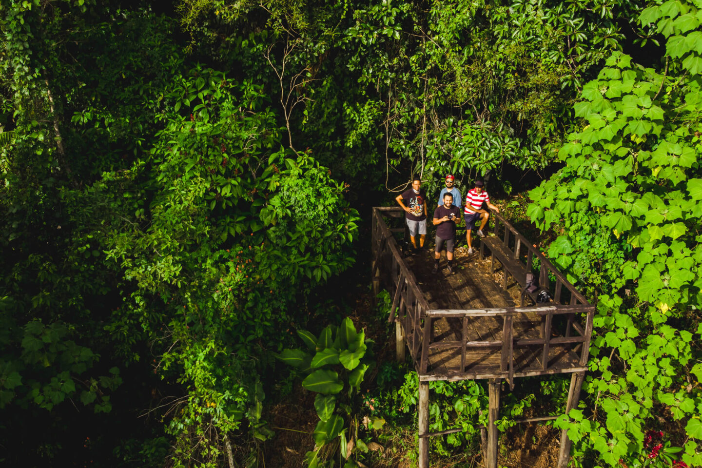 costa-rica-birdwatching-forest-turrialba