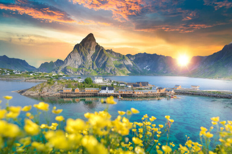 norway-lofoten-sunset-and-wildflowers-istk