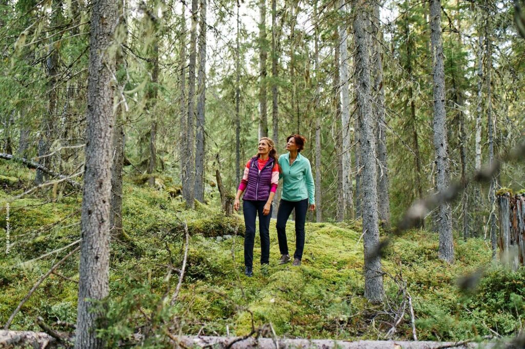 finland-hotelkalevala-forest-hike