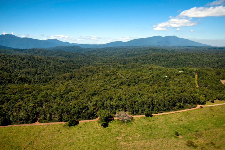 rose-gums-aerial-view