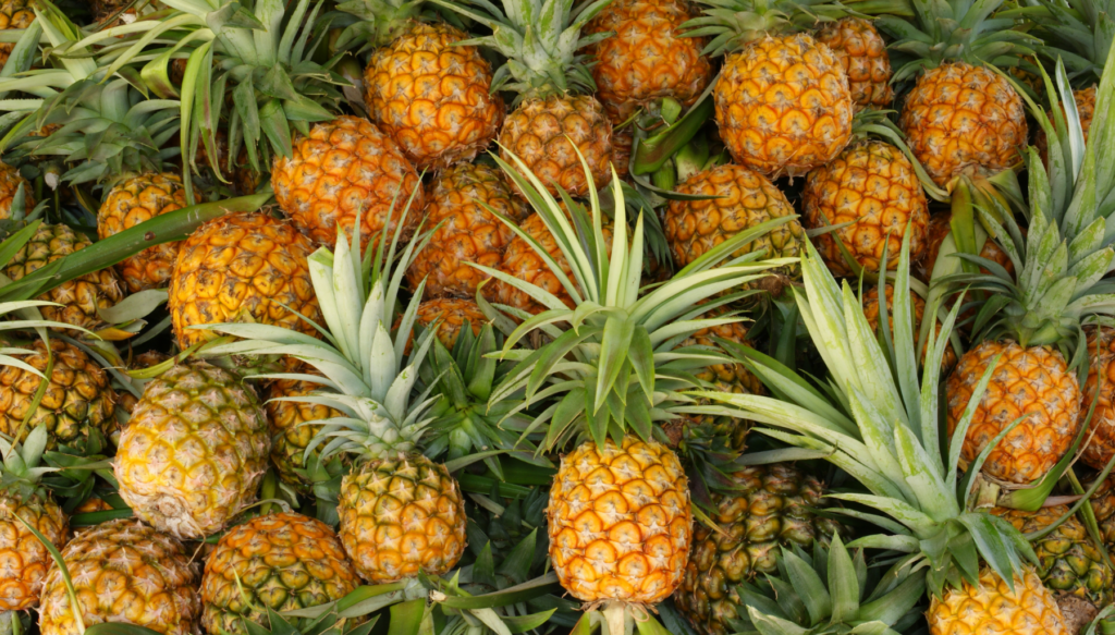 Picture of a selection of pineapples