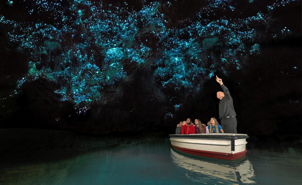 new zealand waitomo caves