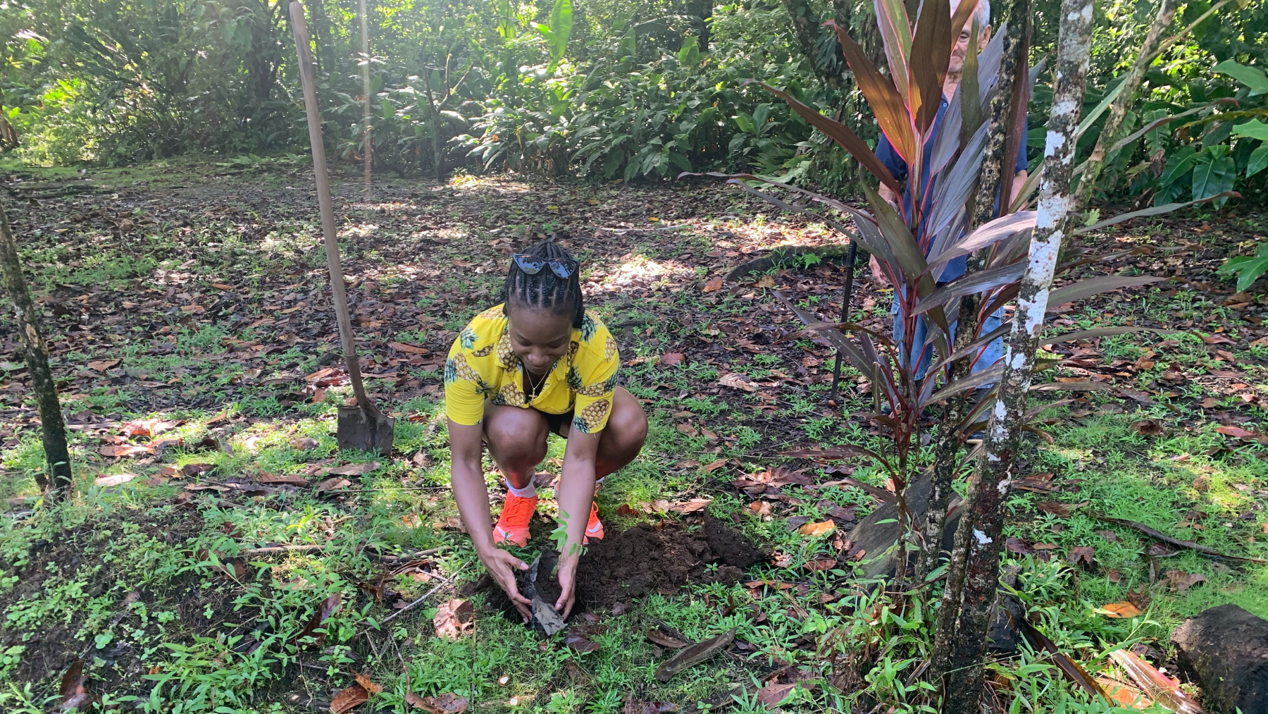 A picture of a girl planting a tree in the rainforest in Costa Rica